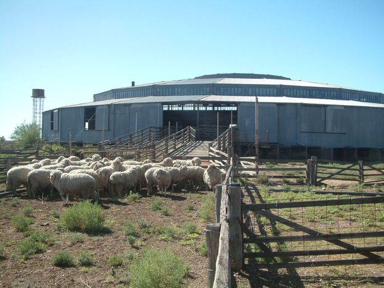 Isis Downs Woolshed