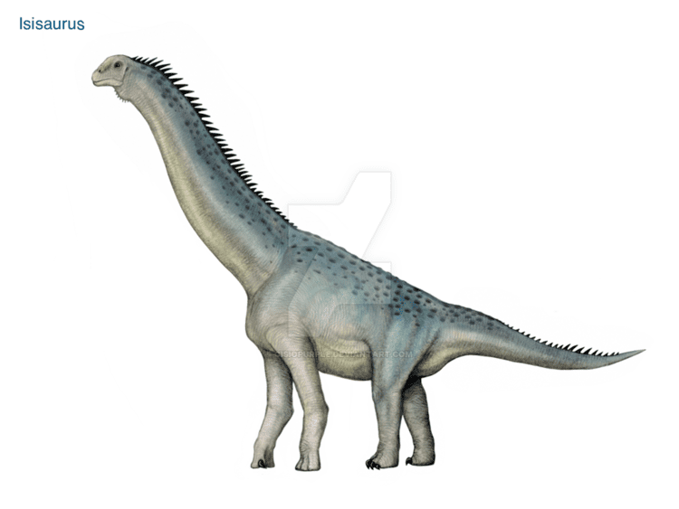 Isisaurus Isisaurus by cisiopurple on DeviantArt
