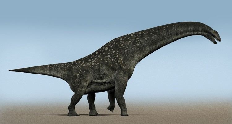 Isisaurus Isisaurus colberti originally described and named as Titanosaurus