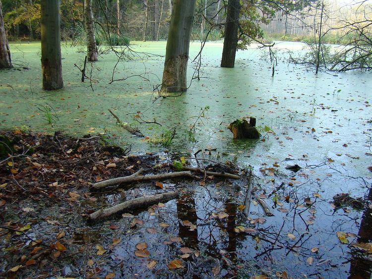 Ińsko Landscape Park