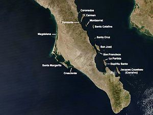 Isla Danzante httpsuploadwikimediaorgwikipediacommonsthu