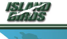 Island Birds httpsuploadwikimediaorgwikipediaen44bIsl