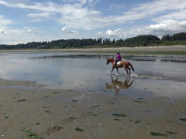 Island View Beach Equestrians want in on Island View Beach plan