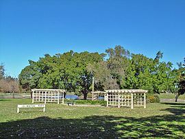 Islington, New South Wales httpsuploadwikimediaorgwikipediacommonsthu