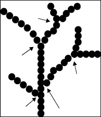 Isoamylase docsdrivecomimagesacademicjournalsajft2011fi