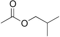Isobutyl acetate Isobutyl Acetate Suppliers amp Manufacturers in India