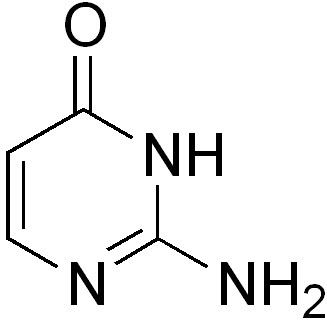 Isocytosine httpsuploadwikimediaorgwikipediacommons66