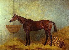 Isonomy (horse) httpsuploadwikimediaorgwikipediacommonsthu