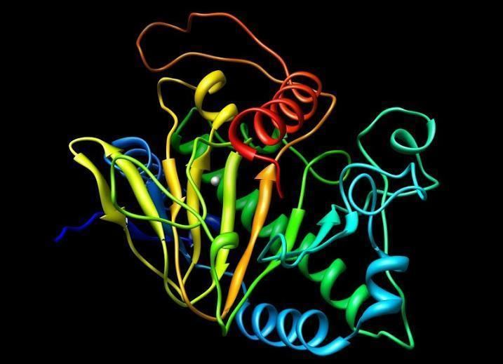 Isopenicillin N synthase