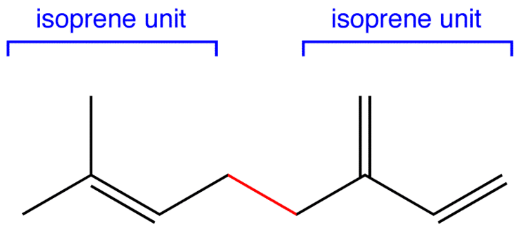 Isoprene Isoprene Unit OChemPal