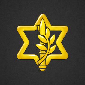 Israel Defense Forces httpslh6googleusercontentcomgWeQdtfc89UAAA