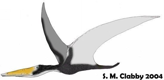 Istiodactylus DinoWight Istiodactylus an Isle of Wight istiodactylid pterosaur