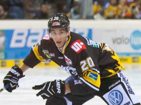 István Sofron Krefeld Pinguine lsen Vertrag mit Istvan Sofron auf EishockeyMagazin