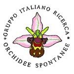 Italian Group for Research on Hardy Orchid httpsuploadwikimediaorgwikipediaenthumb7