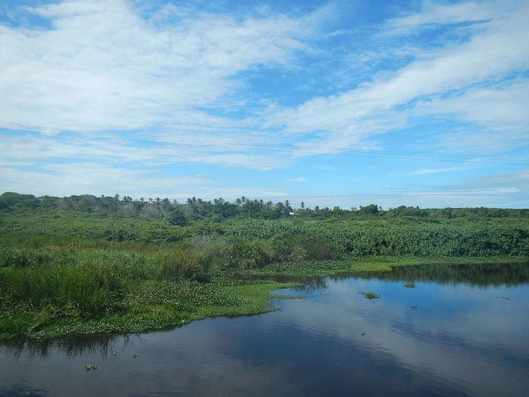 Itaúnas River