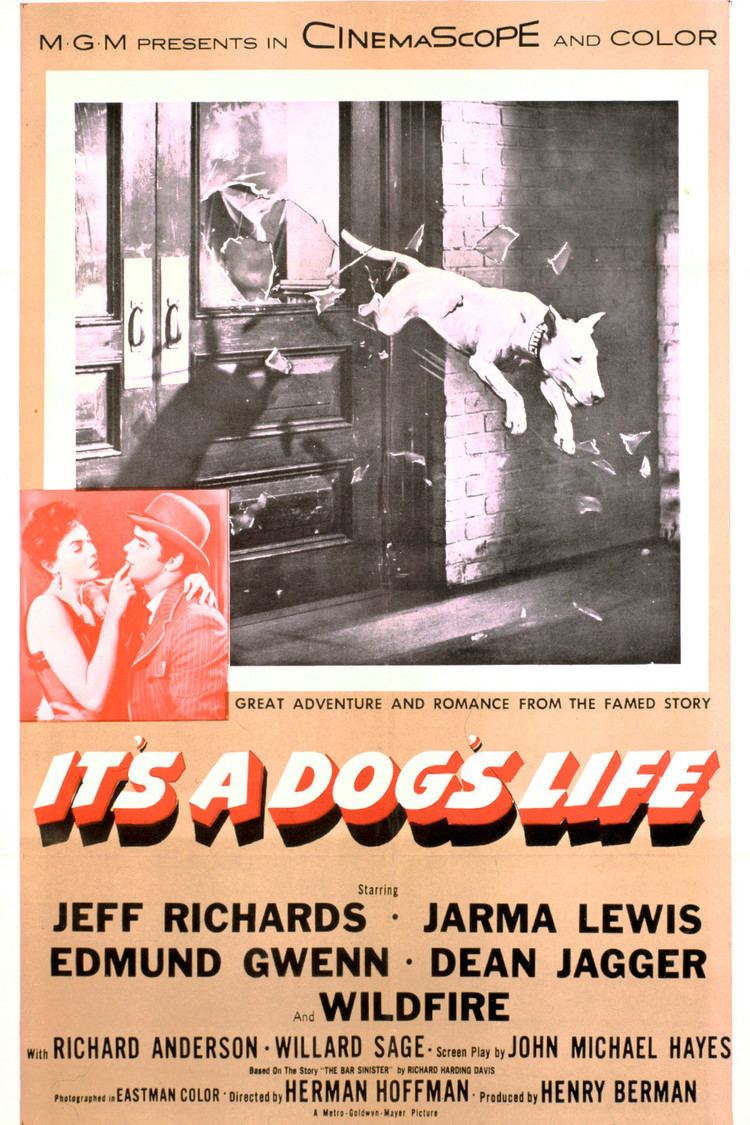 It's a Dog's Life (film) wwwgstaticcomtvthumbmovieposters7889p7889p