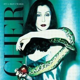 It's a Man's World (Cher album) httpsuploadwikimediaorgwikipediaen880Che