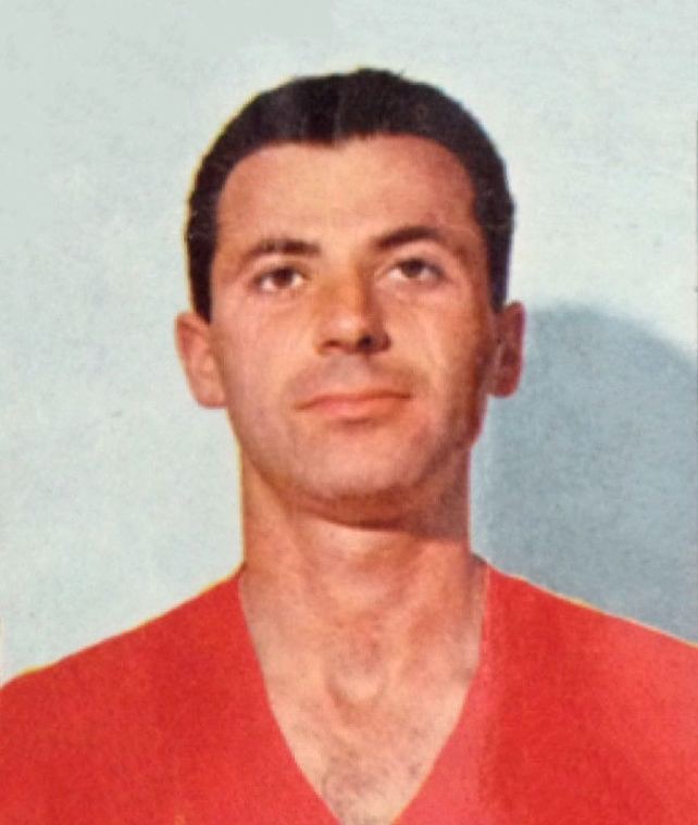 Ivan Dimitrov (footballer) httpsuploadwikimediaorgwikipediacommons22