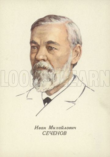 Ivan Sechenov Ivan Sechenov Russian physiologist Look and Learn