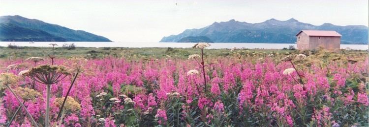 Ivanof Bay, Alaska lakeandpenhostedciviclivecomUserFilesServers