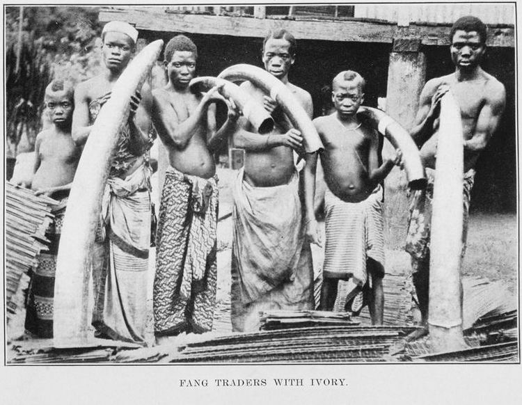 Ivory trade