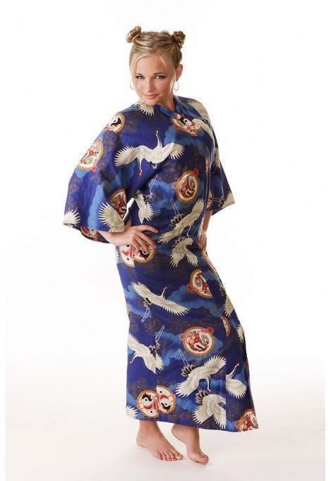 Ivyann Schwan with a tight-lipped smile while hands on her hips and wearing a blue long sleeve dress with a bird design
