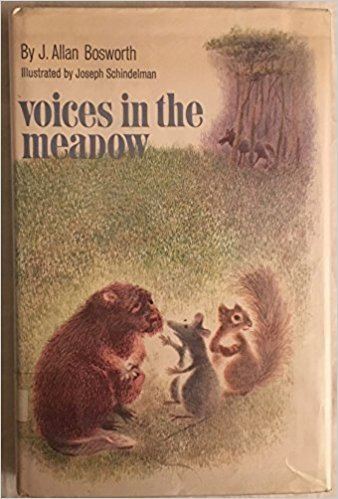 J. Allan Bosworth voices in the meadow j allan bosworth Amazoncom Books