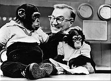 J. Fred Muggs httpsuploadwikimediaorgwikipediacommonsthu