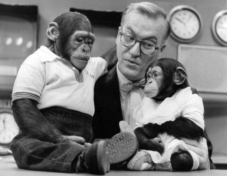 J. Fred Muggs FileDave Garroway J Fred Muggs Today show 1954JPG Wikimedia Commons