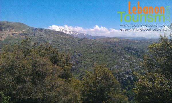 Jabal Moussa Biosphere Reserve Lebanon pictures and photos