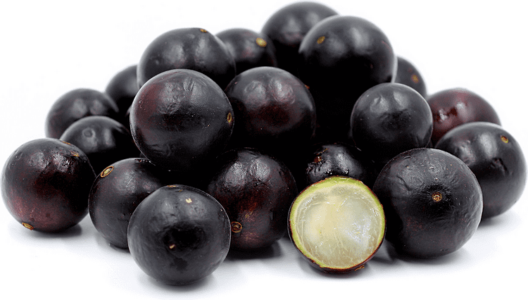 Jabuticaba Jabuticaba Information Recipes and Facts