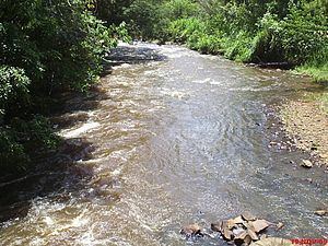 Jacaré-Pepira River httpsuploadwikimediaorgwikipediacommonsthu