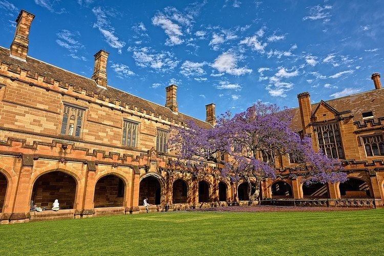 Jacaranda, University of Sydney