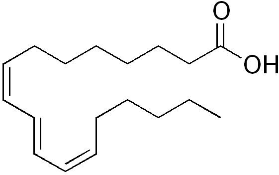 Jacaric acid httpsuploadwikimediaorgwikipediacommonsaa