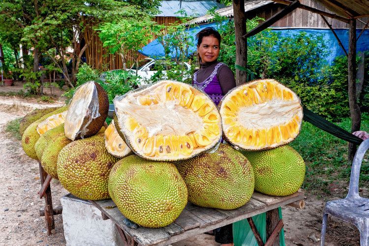 Jackfruit Is Jackfruit the Next Big Meat Substitute