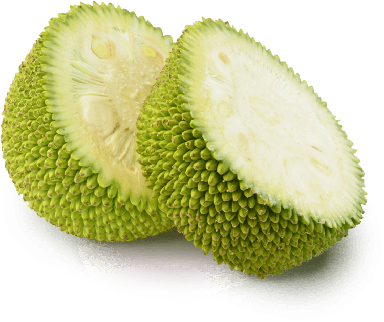 Jackfruit What is Jackfruit Anyway Jackfruit FAQs The Jackfruit Company