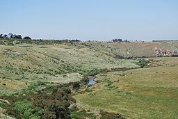 Jackson Creek (Victoria) httpsuploadwikimediaorgwikipediacommonsthu