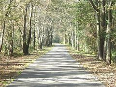 Jacksonville-Baldwin Rail Trail httpsuploadwikimediaorgwikipediacommonsthu