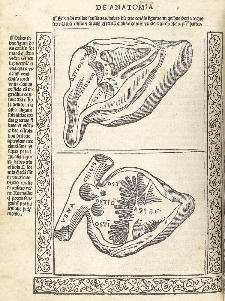 Jacopo Berengario da Carpi Historical Anatomies on the Web Jacopo Berengario da Carpi Home