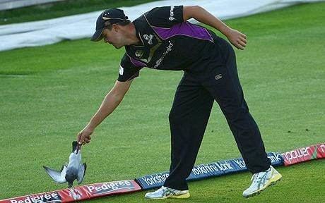 Jacques Rudolph (Cricketer) playing cricket