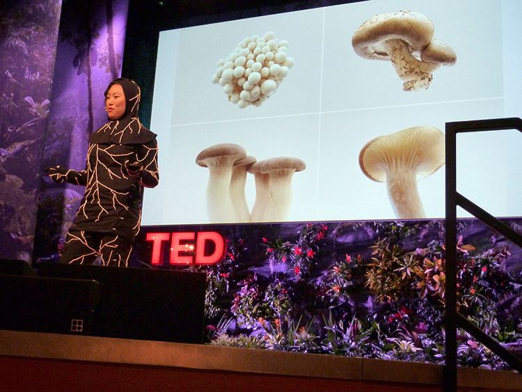 Jae Rhim Lee mushroom death suit designboomcom