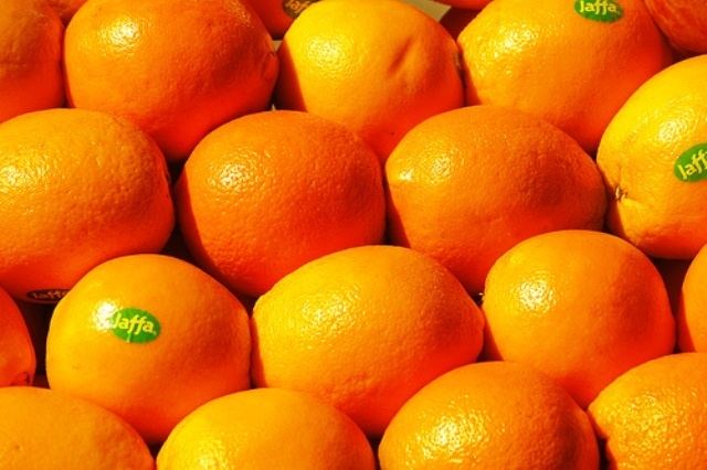 Jaffa orange Famous Israeli Jaffa orange variety to be presented in Haryana