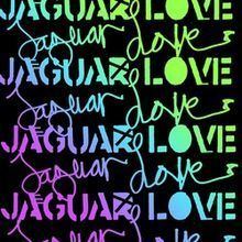 Jaguar Love (EP) httpsuploadwikimediaorgwikipediaenthumbc