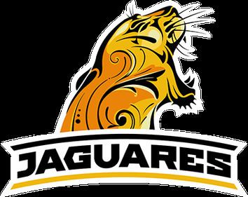 Jaguares (Super Rugby) httpsuploadwikimediaorgwikipediaenddfJag