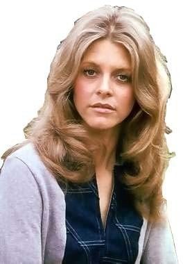 Jaime Sommers (The Bionic Woman) Character The Bionic Woman Jaime Sommers of the group OSI