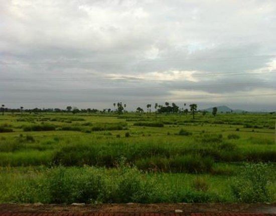 Jajpur Beautiful Landscapes of Jajpur