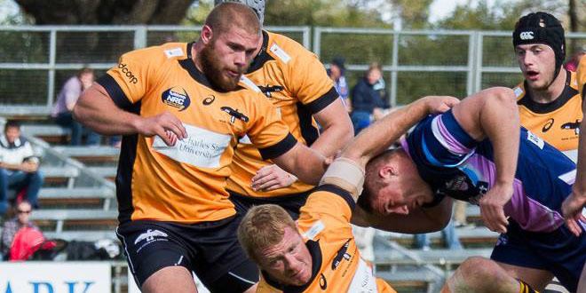 Jake Ilnicki Ilnicki signs for NSW Country Eagles Americas Rugby News