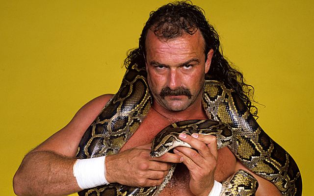 Jake Roberts Why I Love Wrestling Jake The Snake Roberts Geekade