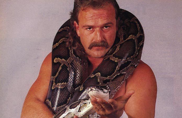 Jake Roberts Wrestling with demons The Jake Roberts story