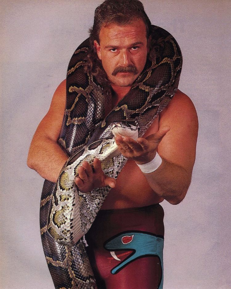 Jake Roberts WWE Jake Roberts